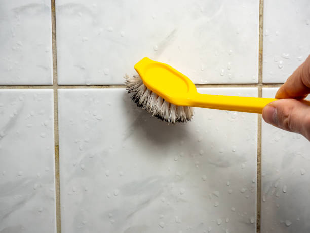 Best Emergency Mold Remediation in Belmont Estates, VA