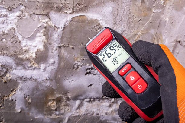 Best Post-Flood Mold Remediation in Belmont Estates, VA