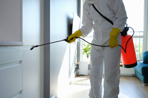 Best Health and Safety Mold Remediation in Belmont Estates, VA